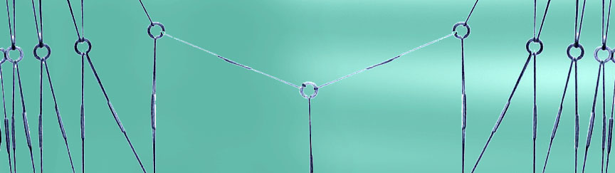 Dura
                  Stainless Wire Net against predators